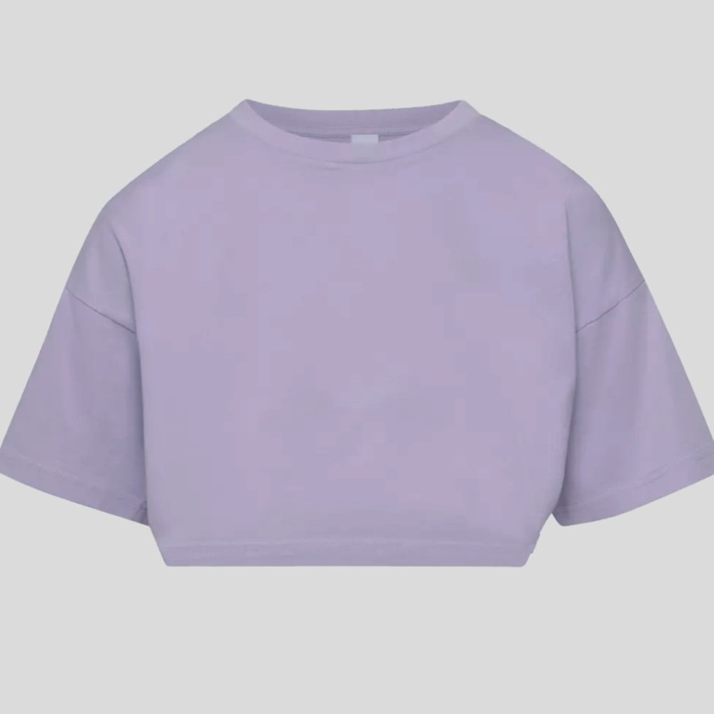 Aritzia Tna Laid Back T-Shirt (WITH TAGS)